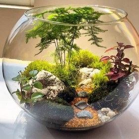 تراريوم شيشه اي تبليغاتي كد ٠١